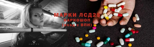 мдпв Кукмор