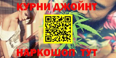 прущие крисы Камышлов