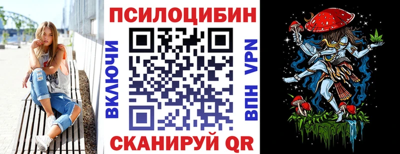 закладки  Курчатов  Псилоцибиновые грибы мицелий 