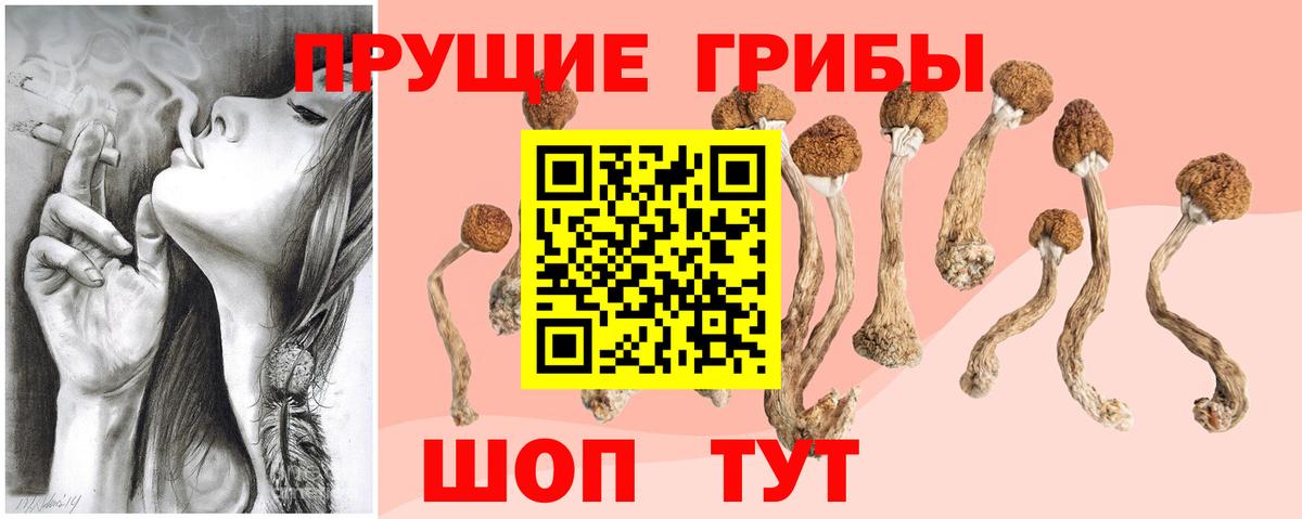 Галлюциногенные грибы Magic Shrooms  Псилоцибиновые грибы GOLDEN TEACHER  Курчатов 