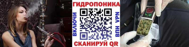 OMG рабочий сайт  Курчатов  Конопля сатива 