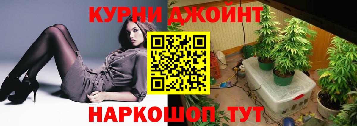 Каннабис Amnesia  Марихуана семена  Конопля Amnesia  Вход с VPN  Курчатов 